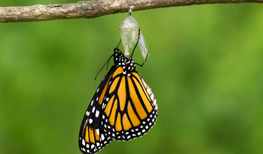 Who and What Do You Fear Part 2